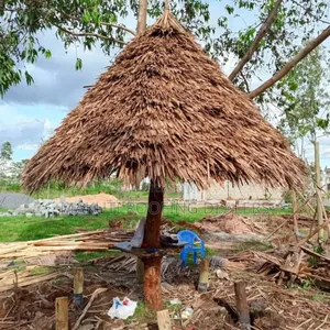 Tree Makuti Gazebo Dealers