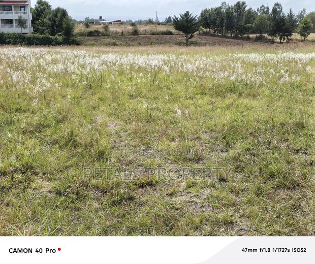 1 Acre for Sale in Kabarak West Gate - thumbnail 4