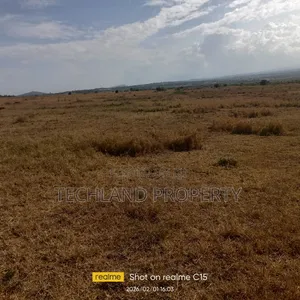 4acres Muhonia Nairutia Laikipia.