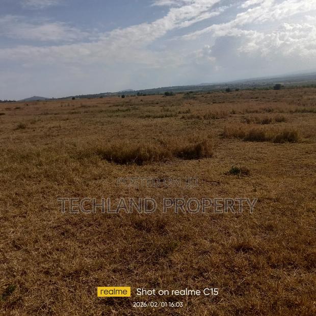 4acres Muhonia Nairutia Laikipia.