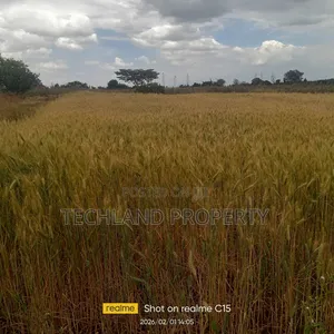 4.5acres Narumoru Kieni Nyeri.