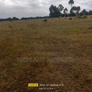 5acres Kihato Narumoru.