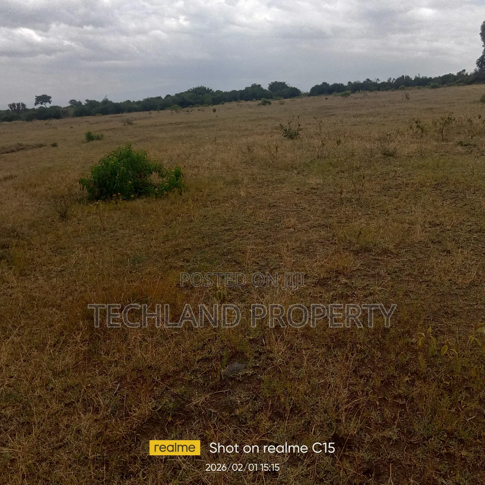 5acres Kihato Narumoru.