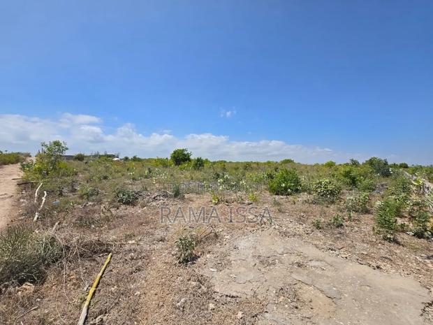 Beach Plot - thumbnail 4