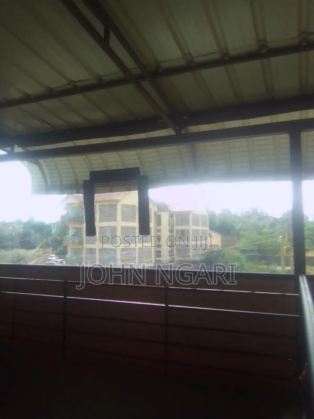 Balcony Dust Breakers - thumbnail 2