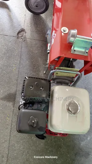 Iori Italian 1000kg/1tonne Concrete Hoist.