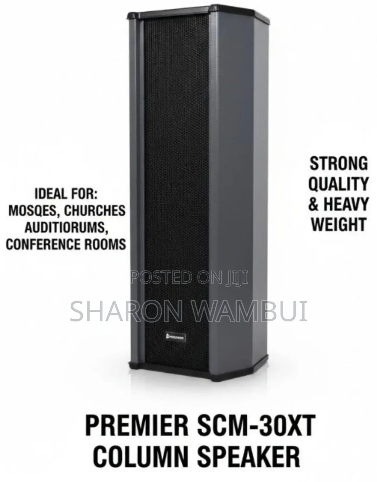 New Premier SCM-30xt Column Speaker/SCM-30xt Column Speaker
