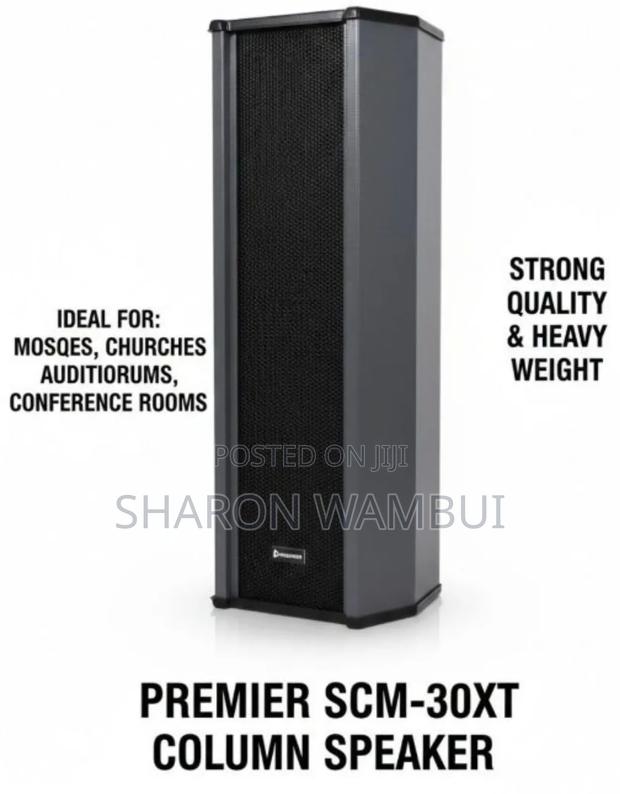 New Premier SCM-30xt Column Speaker/SCM-30xt Column Speaker