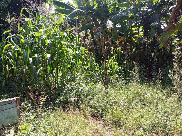 Distress Sale: 1/4 Acre Available for Sale in Kithimu - main view