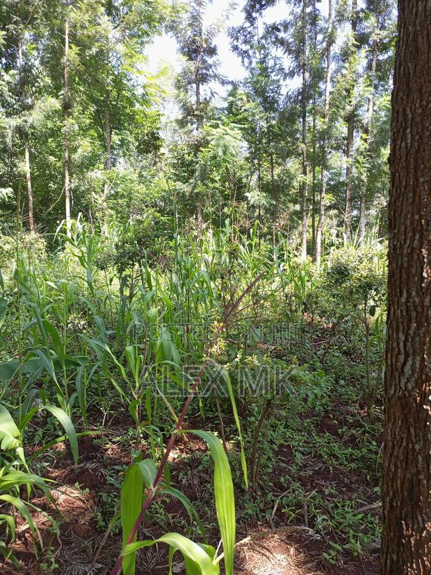 Distress Sale: 1/4 Acre Available for Sale in Kithimu - thumbnail 3