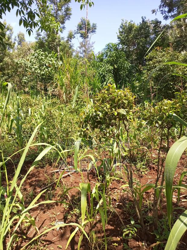 Distress Sale: 1/4 Acre Available for Sale in Kithimu - thumbnail 6