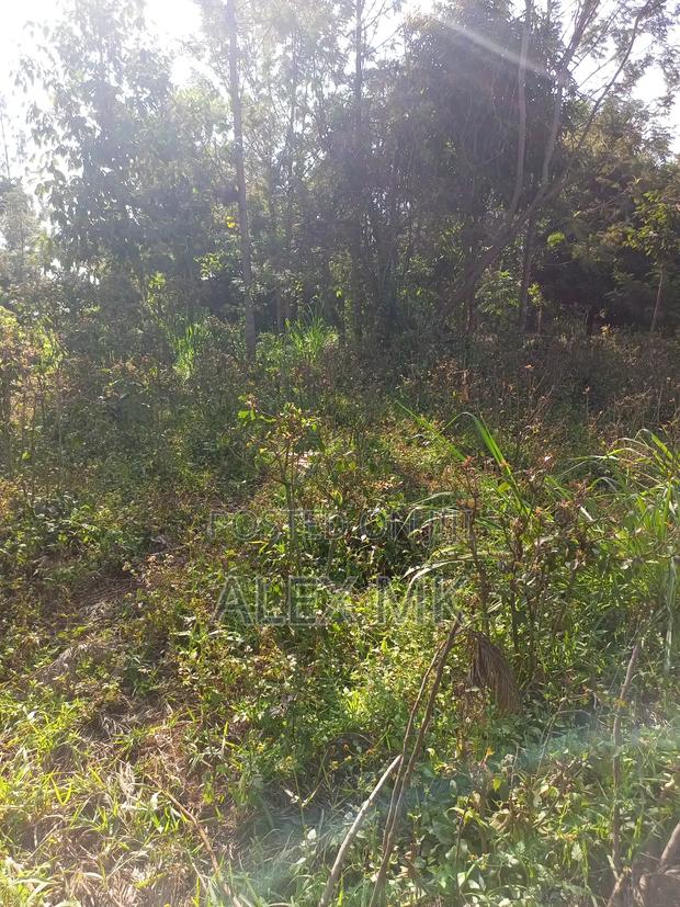 Distress Sale: 1/4 Acre Available for Sale in Kithimu - thumbnail 8