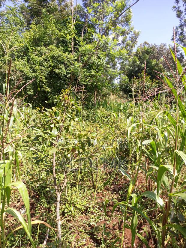 Distress Sale: 1/4 Acre Available for Sale in Kithimu - thumbnail 9