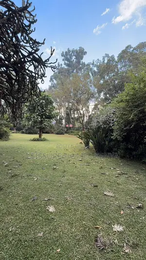 Prime 2.5 Acre Plot in Ridgeways