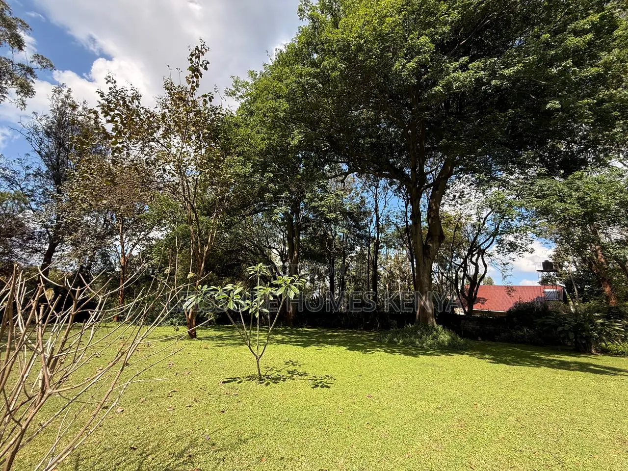 Prime 2.5 Acre Plot in Ridgeways