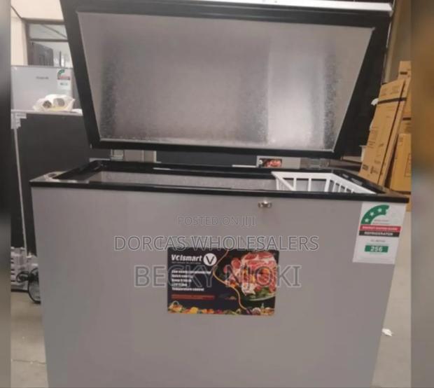 Colour Grey-2volsmart 150l Freezer