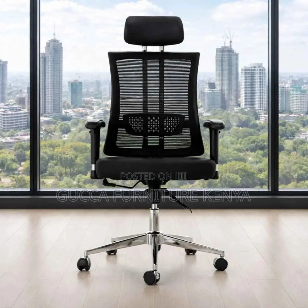 Executive Office Ergonomic Desk Chair