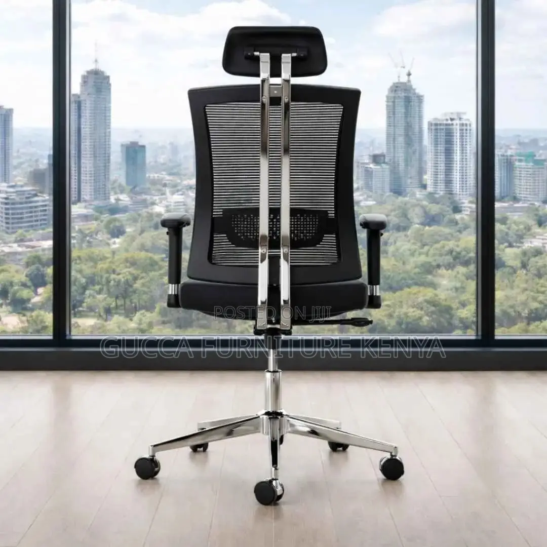 Executive Office Ergonomic Desk Chair