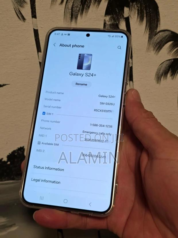 Samsung Galaxy S24+ 256 GB Gray - main view