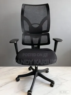 Oorthopaedic Office Chair