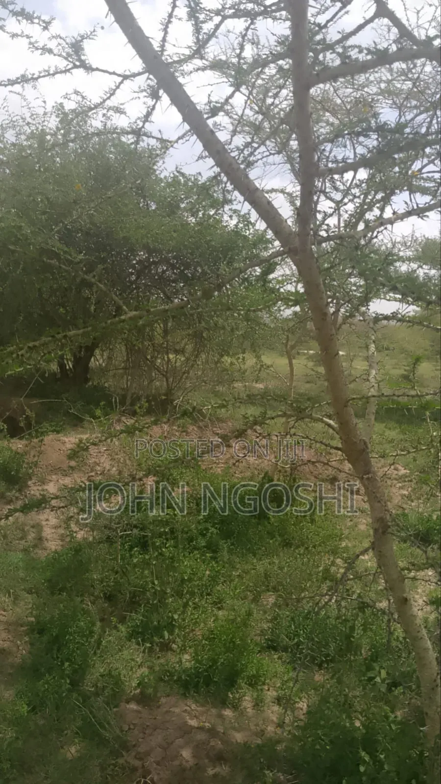 150 Acres on Namanga Rd