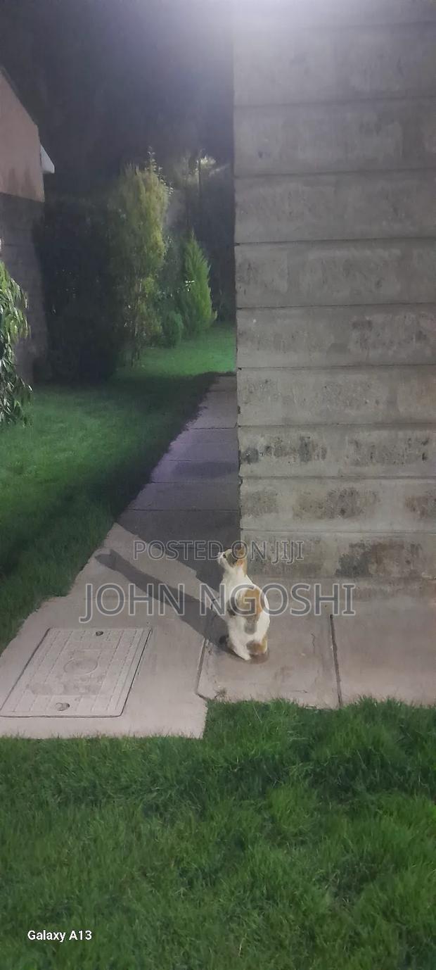 150 Acres on Namanga Rd - thumbnail 4