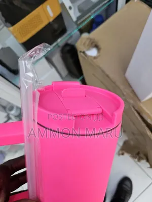Stanley Mugs