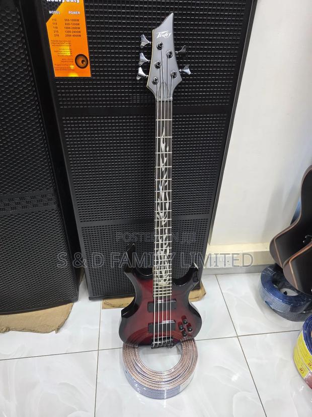 Peavey 5 String Passive Bass Guitar - main view