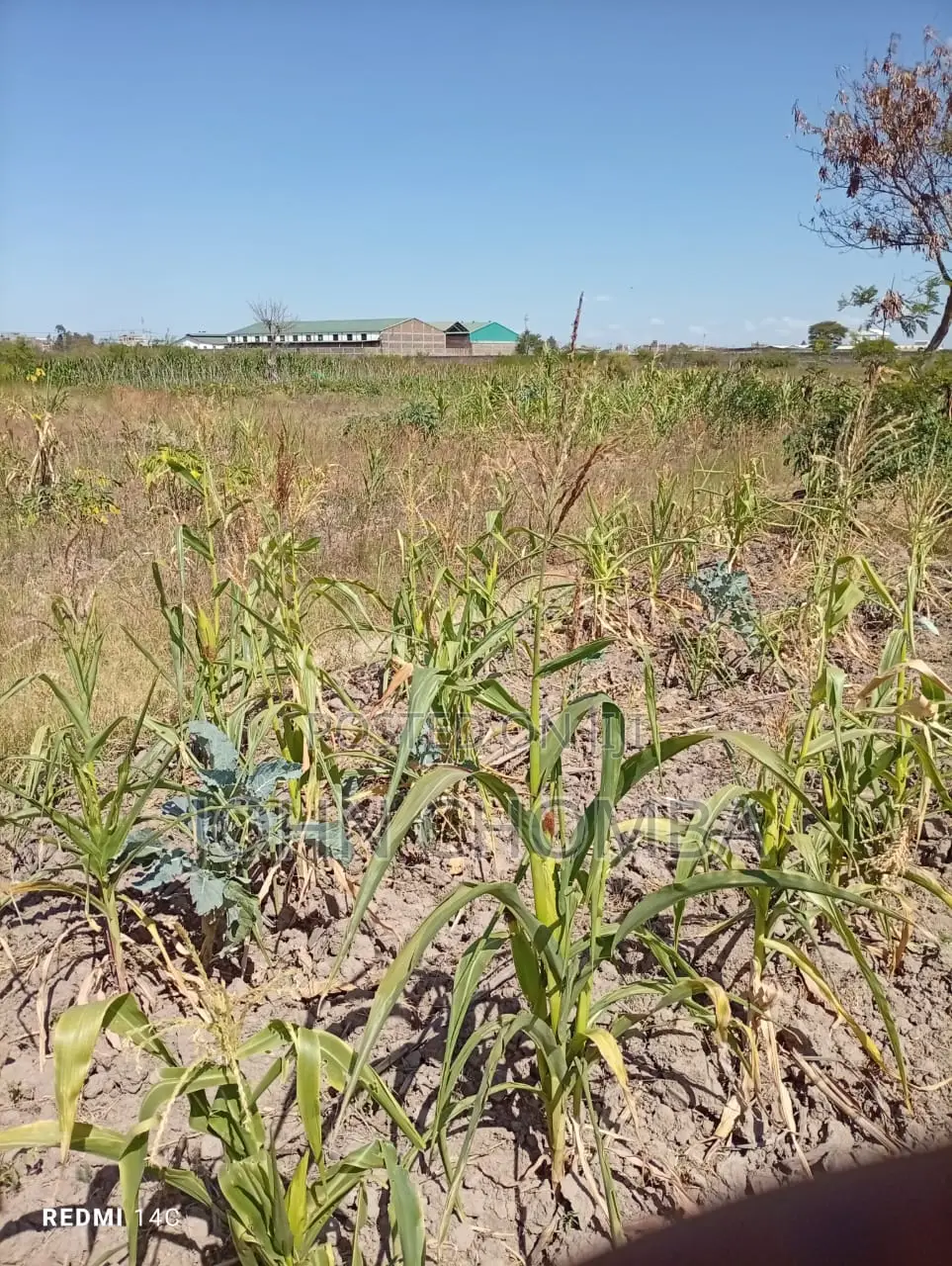 5 Acres Industrial Plot for Sale | Thika Municipality