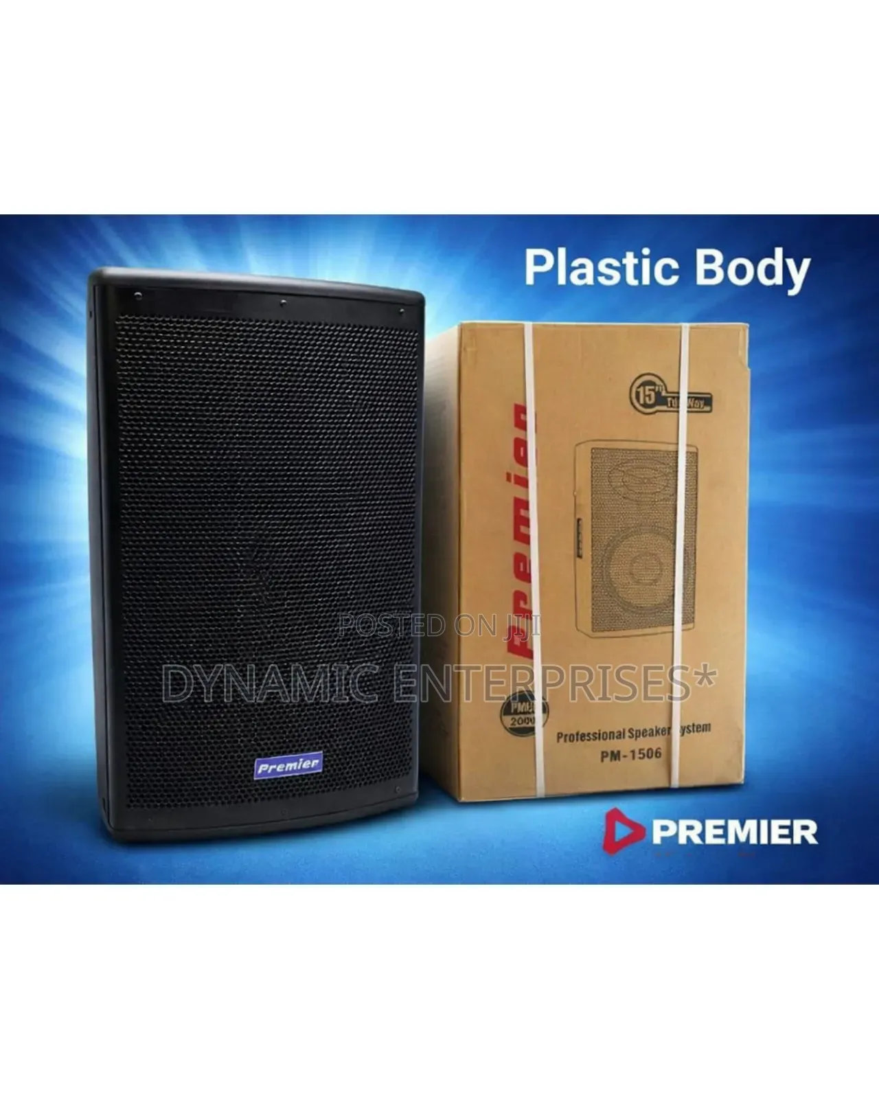 Premier 15" Professional Speaker System