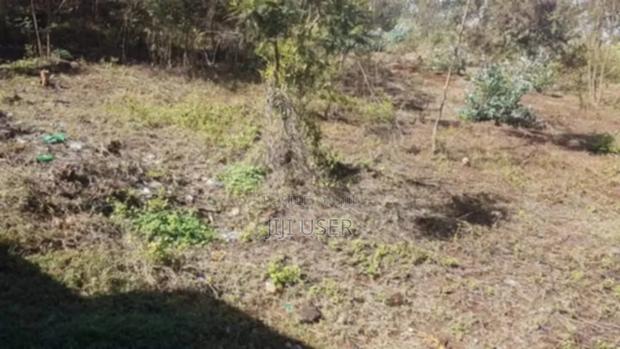 Kiambu Limuru 50x100 Plot - thumbnail 5