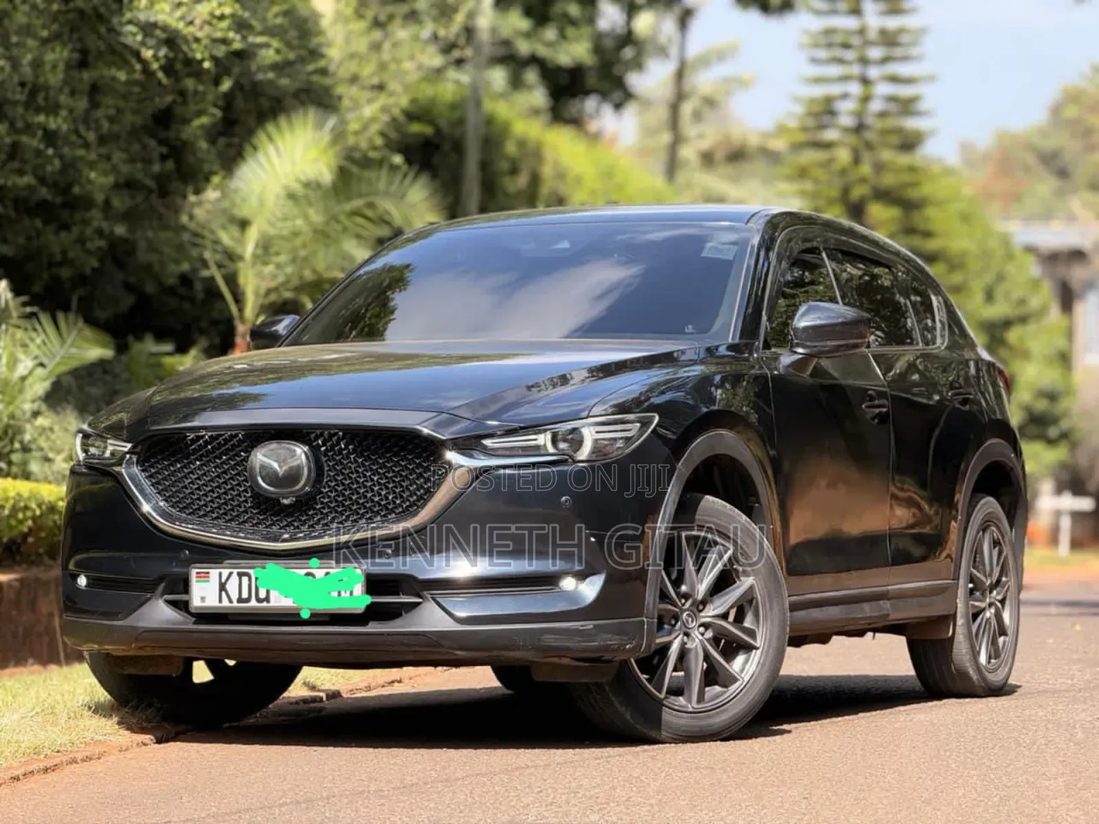Car Hire Services