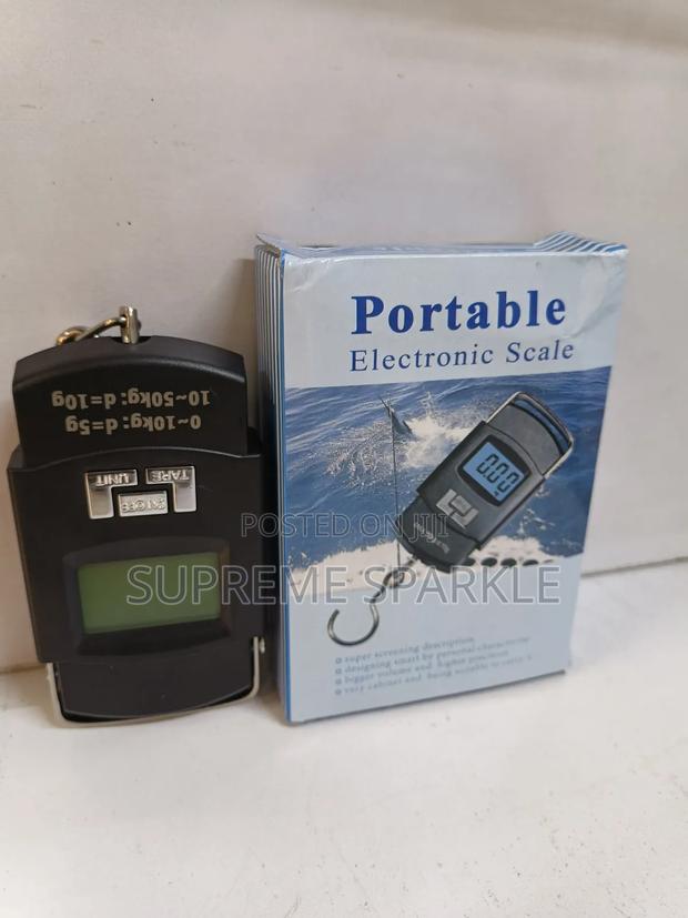 Portable Electronic Hanging Cale/ Weighing Scale - main view
