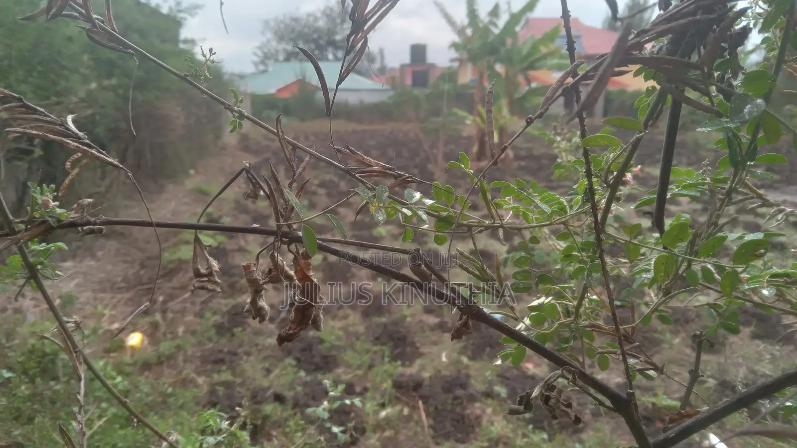 Quater Acre Land for Sale.