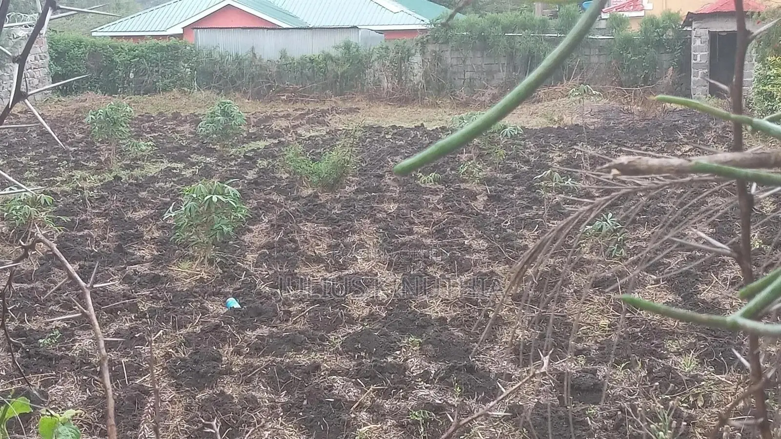 Quater Acre Land for Sale.