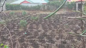 Quater Acre Land for Sale.