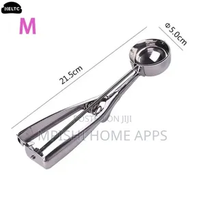 Ice Cream Scoop Medium
