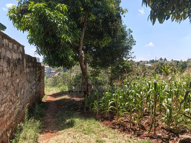 Plot for Sale Karura Kagongo - main view
