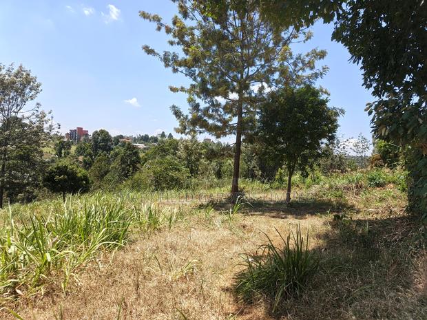 Plot for Sale Karura Kagongo - thumbnail 3