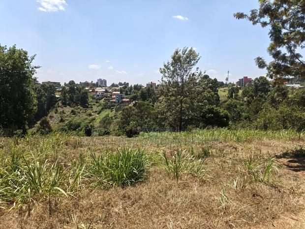 Plot for Sale Karura Kagongo - thumbnail 4