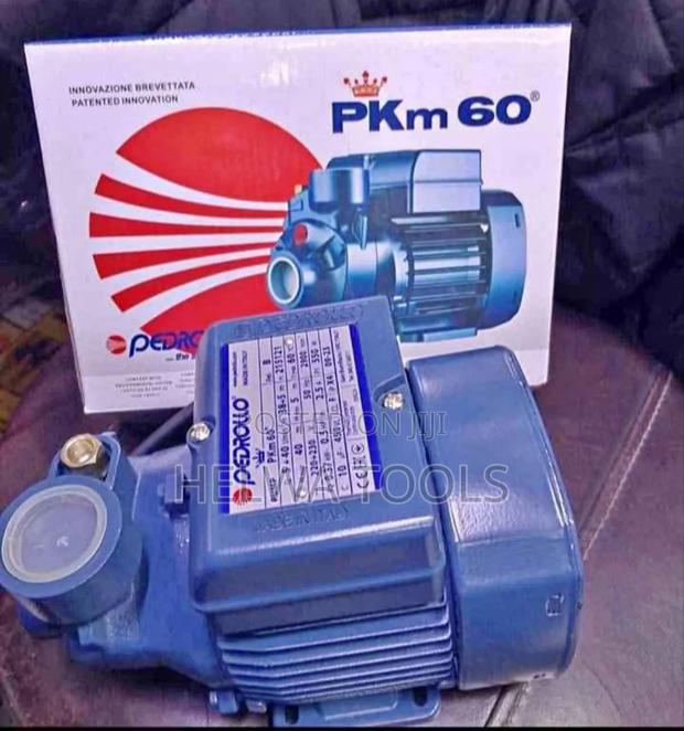0.5 Hp Pedrollo Surface Water Pump