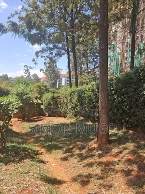 Thindigua Kiambu Road Prime 97x1163 Corner Plot Ideal for Apartments