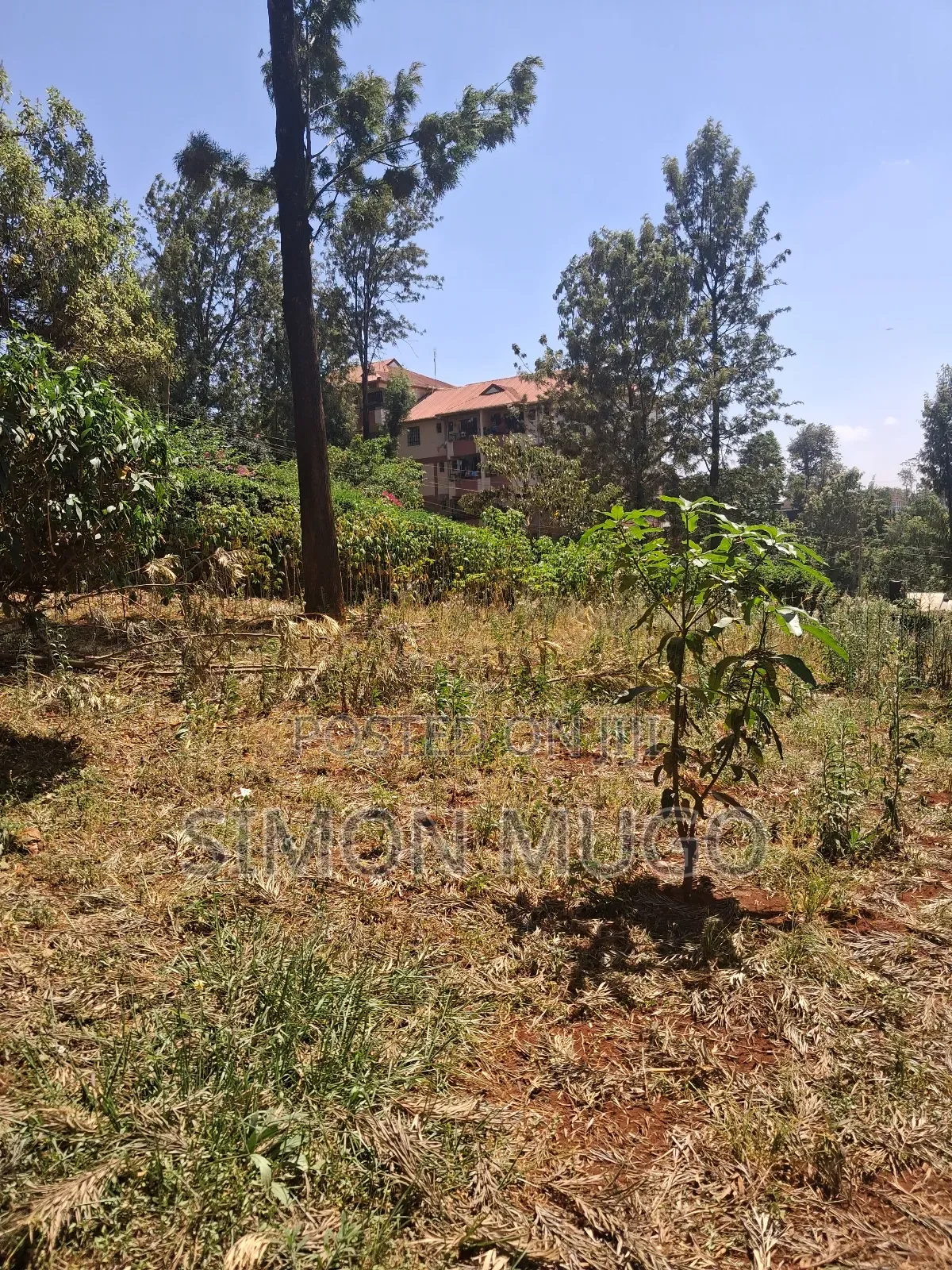Thindigua Kiambu Road Prime 97x1163 Corner Plot Ideal for Apartments