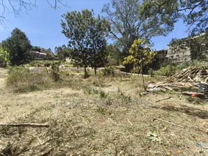 Residential Eighth Acre Plot for Sale in Ngong's Kerarapon Drive