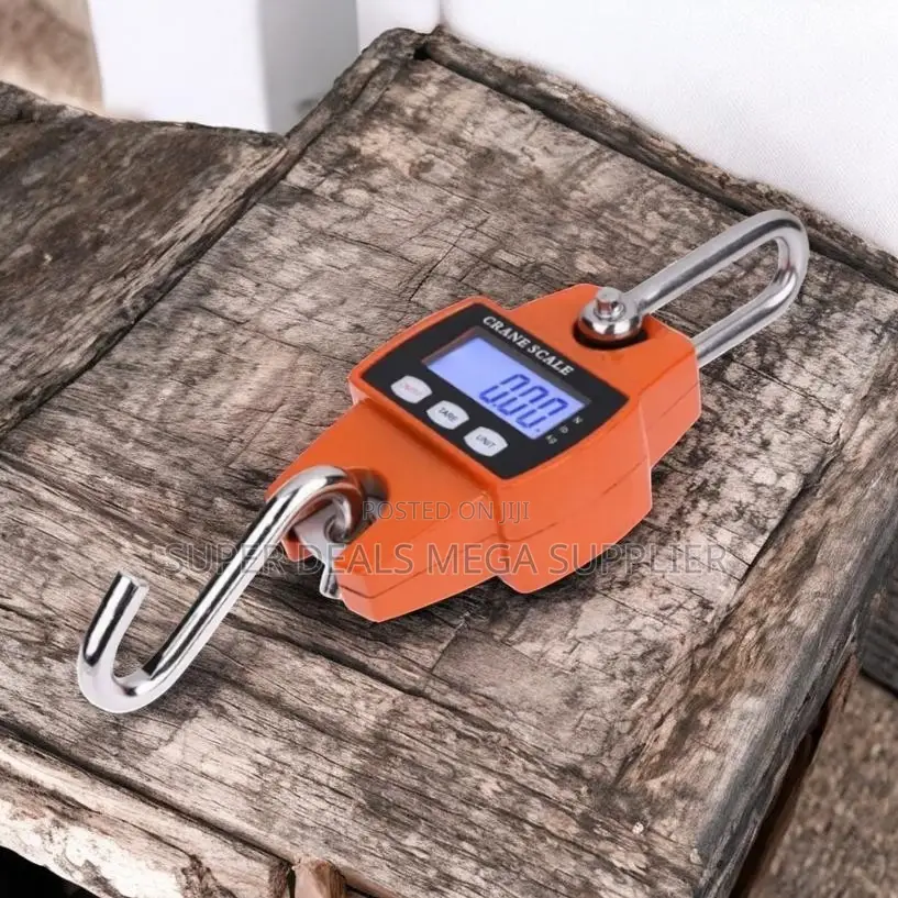 High Quality Material 300kgs Digital Hanging Hook Mini Crane Scale