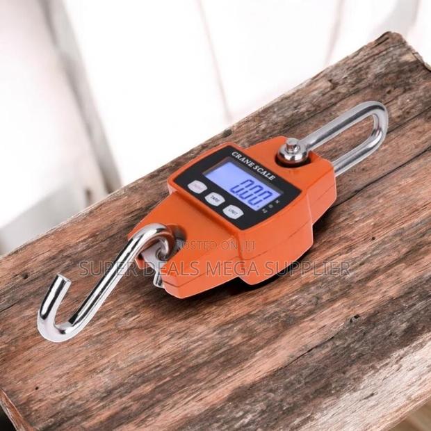 Inexpensive 300kgs Digital Hanging Hook Crane Scale With LCD Display