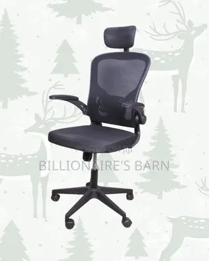 Grey Ergonomic Office Chair — Workday Comfort, Adjustable Headrest
