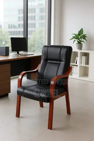 Office Chair : Bliss Executive Visitor Chair