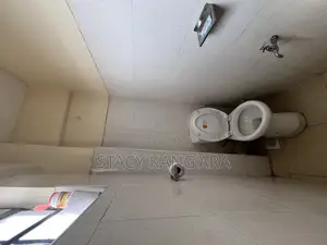 Fully Furnished One Bedroom, TRM Drive Roysambu