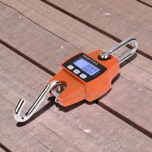 High Accuracy LCD Display 300kgs Digital Hanging Hook Mini Crane Scale